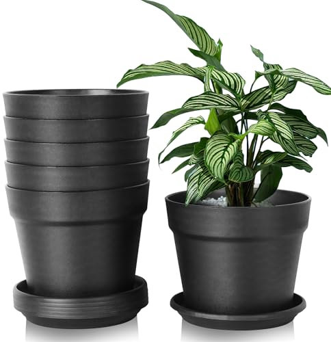 6 macetas Decorativas Interior, Maceta con Posavasos, Maceta de con Varios Agujeros de Drenaje, macetas Redondas para Dentro y en el balcón, Cactus jugosos (Negro, 16 cm)