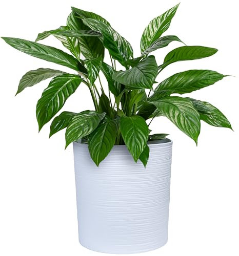 KONZEPT Blumentopf Groß Innen, Übertopf Groß 30cm Pflanzentopf Kunststoff Weiß Meißelspuren-Design, Mit Inneneinsatz