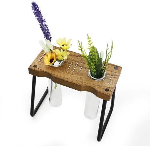 Propagateur de | Pot de de Bureau avec Support en Bois - Décoration Intérieure Et Accessoires De Jardinage pour Boutures De Pothos Et s