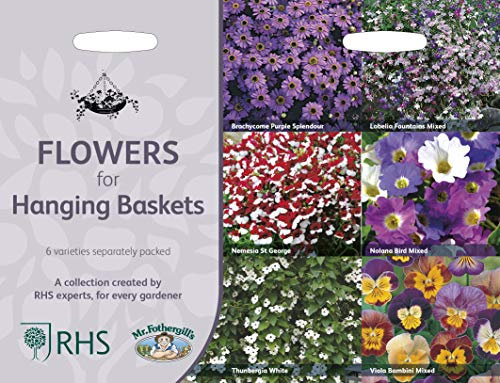 Mr Fothergills RHS Flowers for Hanging Baskets Collection Seeds