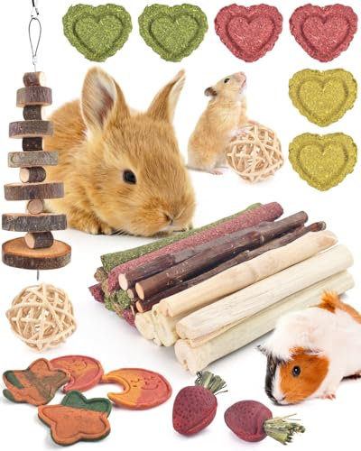 ERKOON 34 Stück Kaninchen Spielzeug Beschäftigung, Kauspielzeug Hasen, Kaninchen Zubehoer mit Natürliche Timothy Heu Sticks, Nagerspielzeuge Molar Zahnpflege für Chinchilla Hamster