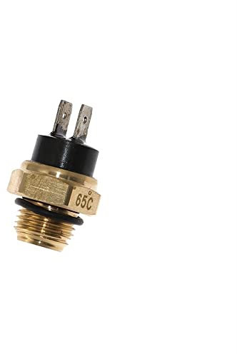 interrupteur phares guidon Moto Électrique Radiateur Liquide De Refroidissement Ventilateur Température De L'eau Thermostat Interrupteur Capteur M14/M16 * 1.5mm Pour 200 250 400 450 ( Color : M16 65 D