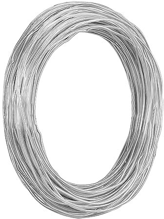 12 Gauge Aluminum Craft Wire, 100 Feet 2mm Thick Bendable Metal Crafting Wire for Sculpting, Modelling, Bonsai Training, Skeleton, Floral Making, Jewelry Making, Wire Weaving and Wrapping (Silver)