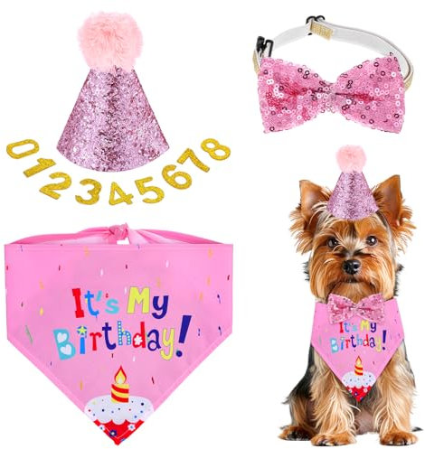 Sombrero de cumpleaños para perro Collar reutilizable con número y pajarita para mascotas pequeñas, cachorros, niñas y gatos