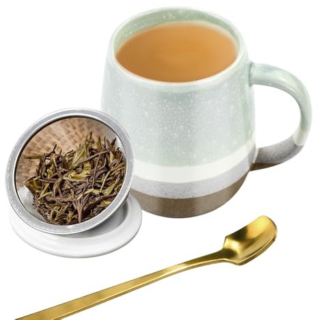 VGECEE Taza de Cerámica con Tapa Tazas Para Infusiones con Filtro de Cerámica y Tapa 400ml Taza para Infusiones Microondas Taza Té Porcelana Taza de Té con Filtro Tazas Originales para Regalar