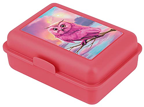 Baagl Brotdose Kinder für Schule – Lunchbox für Mädchen, Jungen, Kindergarten – Jausenbox, Brotzeitbox, Brotbox, Snackbox (Eule)