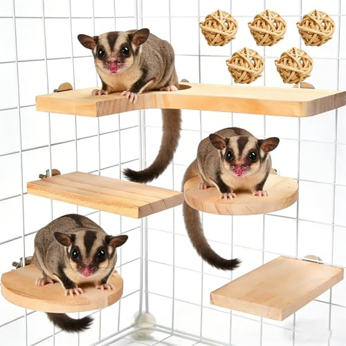 Set di 10 accessori per criceti, giocattolo per piccoli animali con trampolino di lancio, superfici rotonde rettangolari e 5 palline per porcellini d'India, cincillà, ratti