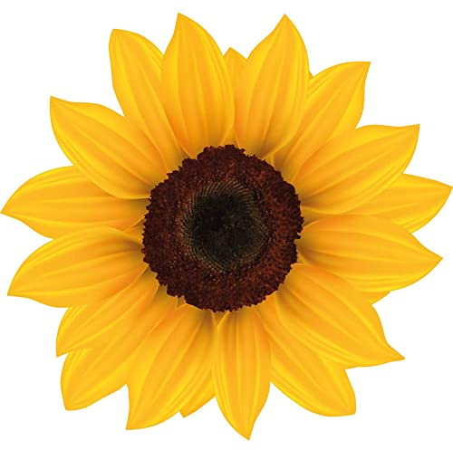 Kleberio Adesivo autoadesivo adesivo per auto resistente agli agenti atmosferici fiori per bidone della spazzatura prato di fiori decorazione per finestre adesivo per piastrelle 10 x 9 cm - Girasole