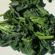Brocoli Vegetali Raab CIMA Di Rapa Appx 50 Semi