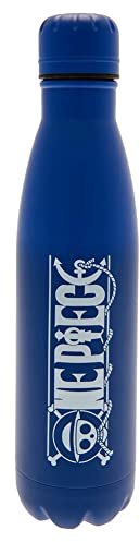 PYRAMID Stainless Steel Double Wall Bottle One Piece 540Ml