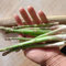 plantas de espárragos comprar semillas - Semillas de hierbas silvestres, plantas resistentes en macetas espárragos vegetales vegetales jardín perennes resistentes Jardín hierbas 600pcs