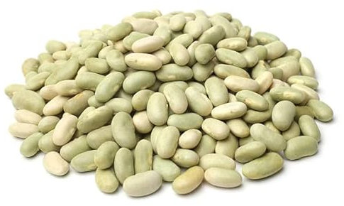 Graines haricot nain à écosser Flageolet Chevrier vert Flagrano - Sachet de 100 grammes - Graines de style