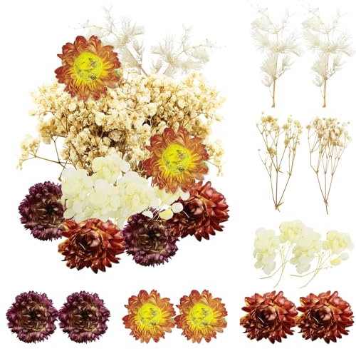 REJOECE Flores Secas, Flores Prensadas Secas Naturales, Flores Secas Manualidades Flores Preservadas Naturales para Accesorios de Corte de Resina DIY, Decoración Artesanal del Hogar