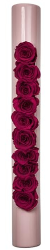 Infinity-Bloom BigTube – rosa/bär – 65 x 7,5 cm