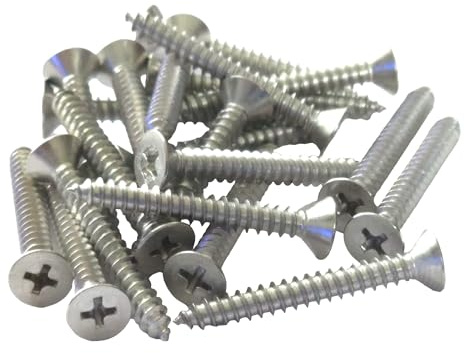 4.8mm x 25mm Self Tapping Screws, Multi-Purpose Screws, 316 Marine Grade Stainless Steel, Phillips Flathead Screws for Wood, Drywall and Furniture (Pack of 20)