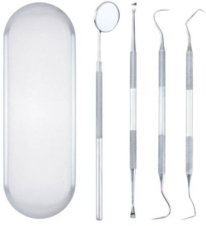 Quacc 4 PCS Dental Tools Oral Hygiene Kit Stainless Steel Dental Pick Tartar Scraper Teeth Cleaner Plaque Removal Tools for Dentist Personal Pet Care with Storage Box