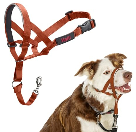 Licol HALTI - pour Que Votre Chien arrête de Tirer sur sa Laisse, Partie entièrement matelassée sur Le museau, Colliers Anti-Traction pour Chiens de Taille Moyenne (Taille 2, Orange Brûlé)