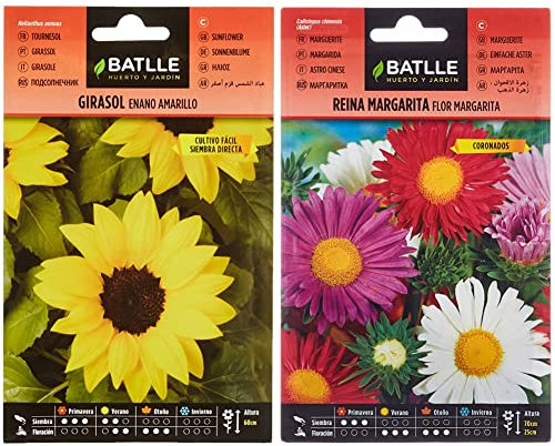 Semillas Batlle Girasol enano amarillo & Reina Marg. FLOR MARGARITA