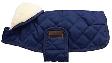 Kentucky - Hundemantel - Marineblau - Dackel - 40cm