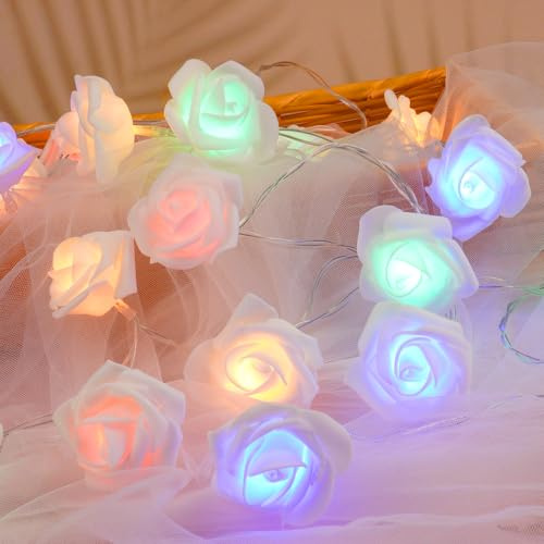 OSDUE 3M Guirlande Lumineuse à LED en Roses, 20 LED pour Noël Mariage Déco