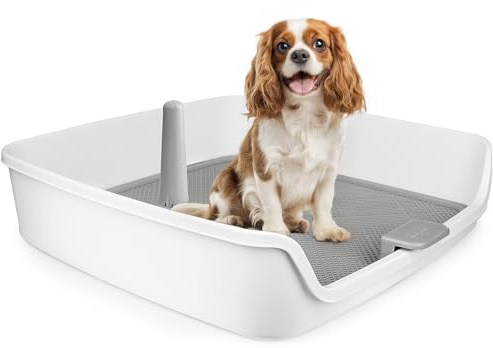 ALL FOR PAWS Indoor Dog Potty Tray with Removable Post & Protection Wall, 63 x 63 cm, Large Mesh Grid Dog Pee Pad Holder, Potty Training, Perfect for Small & Medium & Large Dogs Puppy