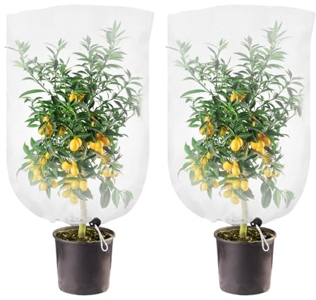 mizikuu 2 Piezas Malla Fina Anti Insectos con cordón, 100 x 150 cm Red Antitrips para Proteger Plantas Flores Frutas Una Variedad Plagas Bolsas Protectora Arboles Frutales Jardín Cubierta