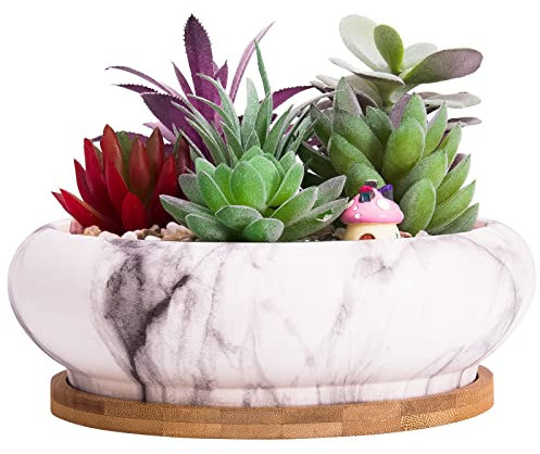 ARTKETTY Large Marble Shallow Flower Pots with Drainage Tray for Indoor Cactus Succulent Plants