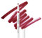 Wet n Wild Perfect Pout Lip Liner Stain, Perfilador de Labios a Prueba de Transferencia, Punta Afilada para una Alta Precisión y Lado Plano para Rellenar Fácilmente, Larga Duración, Spilled Wine