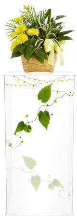 TTISJHK Présentoir en acrylique transparent de 60 cm - Présentoir moderne pour fleurs, décoration, objets de collection, mariages, fêtes, salon - Colonne rectangulaire