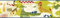 York Wallcoverings Kids III Disney The Lion Guard Scenic Border, Greens