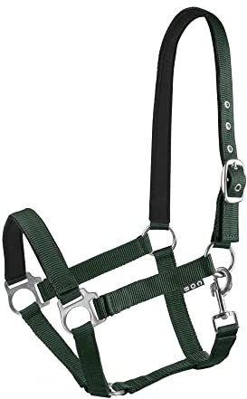 Start Halfter Pferd verstellbar – Nylon Halfter mit Polsterung – Größen: Pony, Cob, Warmblut – Komfortabel & Robust – Pferdehalfter für Stall & Weide (Dunkelgrün, Full)