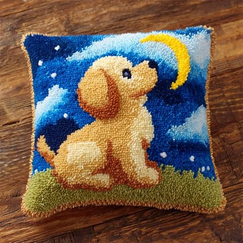 Animales DIY Kit Ricamare Cuscini,Un cucciolo che guarda le stelle,Kit di Ganci a Chiusura per Cuscino,Federa per Cuscino per Divano per Adulti,Home Decor,43x43cm