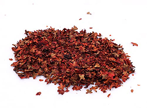 Tiardey 56ML Modelo De Paisaje De Hojas De Basura De Hojas De Simulación De Hojas Efecto De Hoja Caduca - Hojas Rojas