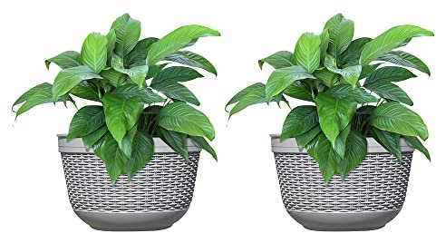 CYANLUX 2 Pack Hanging Planters for Outdoor Indoor Plants, 10 Inch Plastic Plants Pot Wall Mounted, Hanging Flower Pots Plants Container with Hooks for Porch Railings Garden Balcony Patio