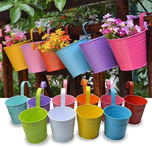Trongle 10 PACKS 12.5cm Metal Iron Hanging Plant Pots with Detachable Handle and Drainage Holes, Colorful Indoor Outdoor Pots for Garden Balcony and Home Decor, M