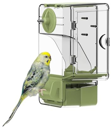 Mangiatoia automatica per uccelli, mangiatoia per gabbia per uccelli con trespolo supporto multifunzionale per frutta e verdura per parrocchetto canarino calopsitta fringuello (Verde)