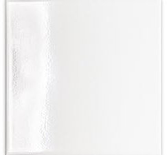 Piastrelle Ceramica 20x20 cm HERBERIA Bianco Lucido – Confezione da 40 Pezzi (1,60 m²) – Made in Italy – Rivestimento per Interni