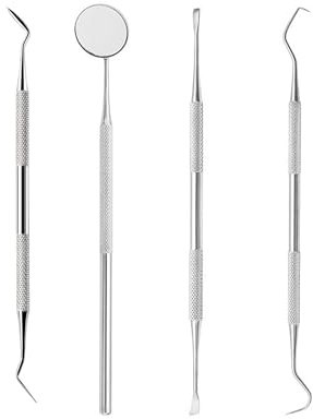 EUZUXU 4 Piezas Kit de Dentista Para Eliminar el Sarro Acero Inoxidable, Dental Cuidado Kit Diente Relleno Reparación Juego, para Adultos Niños y Mascotas