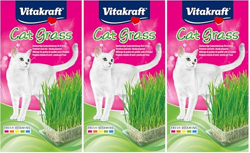 Vitakraft Cat Grass, 120g, Erba Gatta Gr Uomo, Standard, 120 g Confezione da 3