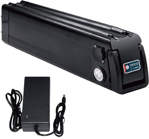 Ebike batteri 36V 48V cykel pedelec batteri elcykel whitebait form för Aldi för MiFa Trio för Samsung Zhenlong Phylion och många fler med laddare (48V 16Ah)