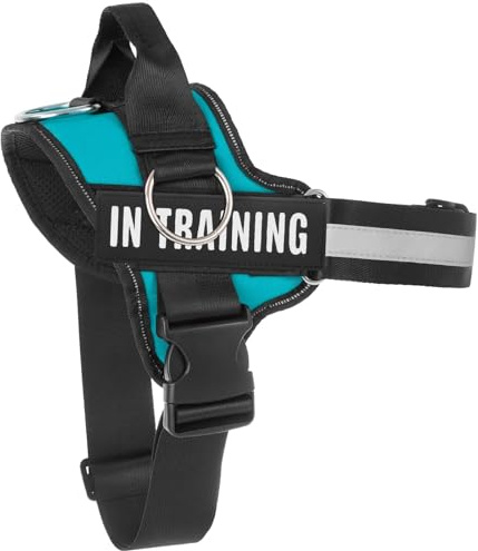 Essential Harnais pour chien avec 3 anneaux latéraux pour le placement de la laisse, anti-étranglement, réfléchissant, facile à mettre et à enlever avec poignée de contrôle améliorée, entraînement