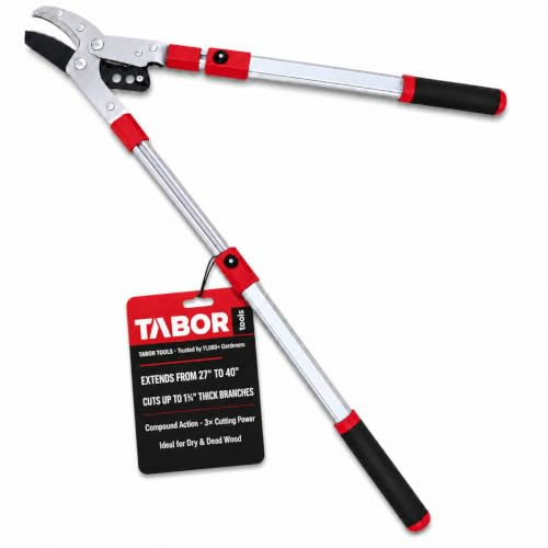 TABOR TOOLS GG22A Telescopic Extendable Anvil Lopper with Compound Action, 27-40 Inch Telescopic Tree Trimmer, Long Handled Branch Cutter with ⌀ 2 Inch Cut Capacity, Chops Thick Branches with Ease.