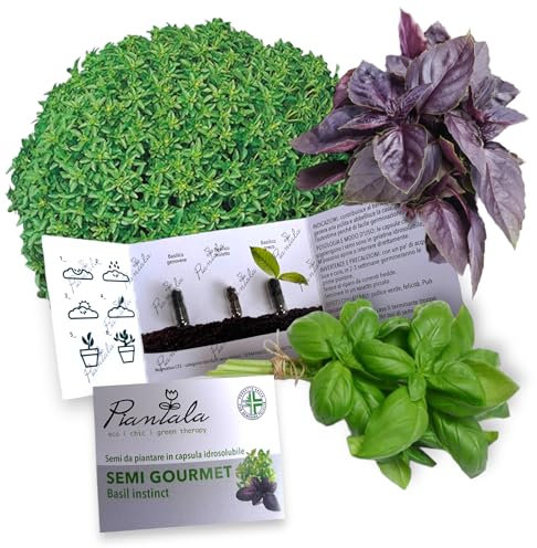 KIT SEMI PIANTABILI in BLISTER da 3 capsule (SEMI GOURMET BASIL: basilico genovese, greco, violetto)