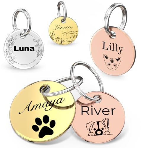 Médaille d'identification gravée sur mesure pour animal de compagnie | Gravure laser double face sur acier inoxydable poli | Médaille ronde résistante aux rayures pour chiens et chats