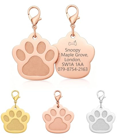 Médaille personnalisée pour chien en acier inoxydable avec n'importe quel nom et texte (empreinte de patte or rose)