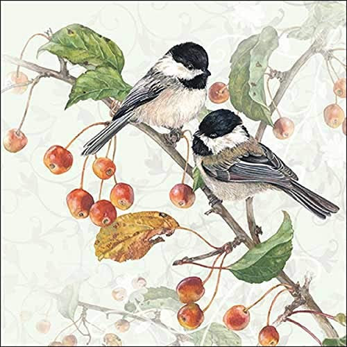 40 St. Lunch Servietten Chickadee Meisen 33x33cm Tischdeko Herbst Winter Küche Gedeckter Tisch Serviettendeko
