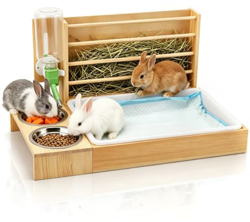 Râtelier à Foin 4-en-1 pour Lapins, Station d'alimentation