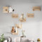 WUDLEP Wood Cat Wall Shelves, 5 Wall Furniture Set, Cat Shelves and Perches Playground Set with Cat Stairs for Indoor Wall Mounted Cat House