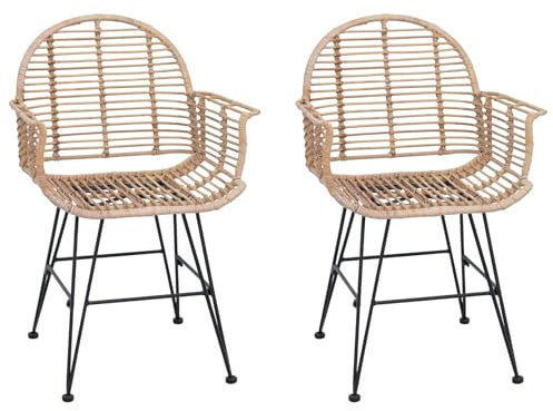 vidaXL Silla de Comedor 2 pcs Natural 44 x 44 x 74 cm Ratan e Hierro, Silla de Comedor Cómoda, Ratán Moderno, Mobiliario Funcional, Sillón Elegante, Asiento Interior Minimalista