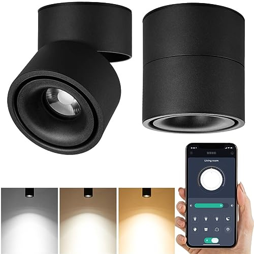 Yodaba LED Dimmable Ceiling Art Spotlight - 360°Adjustable Indoor Surface Mounted 10W COB Lighting -Stepless Dimming Warm Light 3000K to Cool White 6000K Ceiling Downlight-Wall Swivel Lamp (Black)